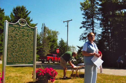 Alcona Site 2