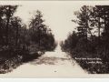 1 Road To Hubbard Lake Postcard